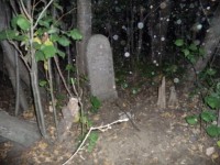 /album/fenykepgaleria/p1190437-jpg/