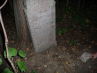 /album/fenykepgaleria/p1190440-jpg/