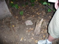 /album/fenykepgaleria/p1190441-jpg/