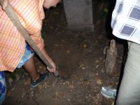 /album/fenykepgaleria/p1190442-jpg/