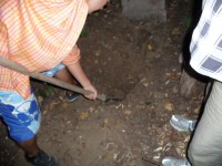 /album/fenykepgaleria/p1190443-jpg/