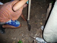 /album/fenykepgaleria/p1190446-jpg/